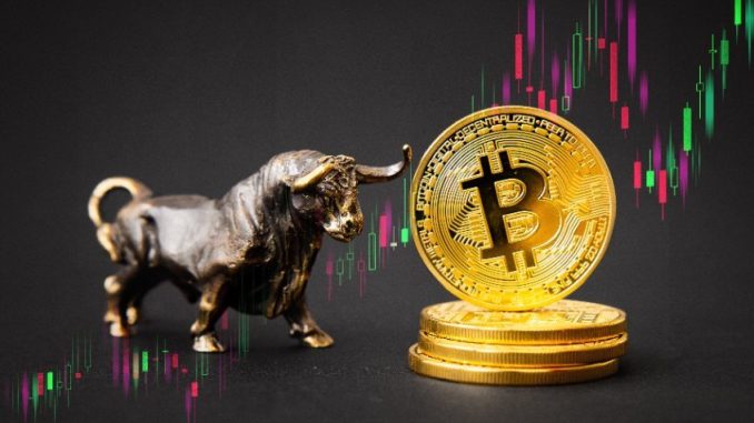 Investors eye Bitcoin Dogs as BTC retests $64k