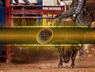 Bitcoin Likely to Enter New Bull Market If This Happens: CryptoQuant