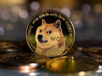 Dogecoin, Solana Post Double-Digit Losses as Crypto Market Momentum Stalls