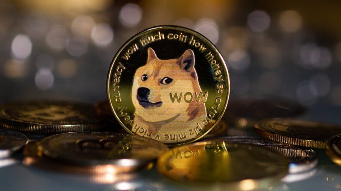 Dogecoin, Solana Post Double-Digit Losses as Crypto Market Momentum Stalls