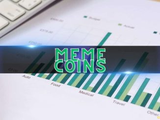 Meme Coins Overtake BTC, BNB in Popularity Among Crypto Holders: Binance