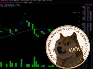 Dogecoin rallies