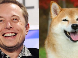 Elon Musk and Dogecoin: How the Billionaire Became the 'Dogefather'