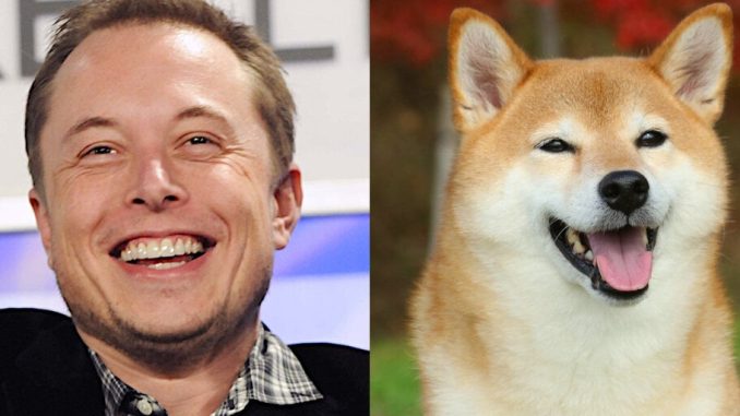 Elon Musk and Dogecoin: How the Billionaire Became the 'Dogefather'