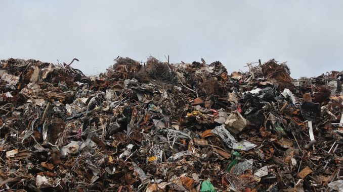 Man ‘Extremely Serious’ About Buying Landfill Where His $774 Million Bitcoin Is Lost