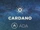 NYSE Arca files 19b-4 for Grayscale Cardano ETF as Bitcoin Pepe