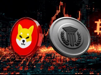 bitcoin-shib-muttum-finance