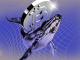 Bitcoin Whales Pull Millions Off Exchanges as New Buyers Surge — BTC Ready to Rally?