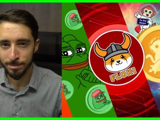 Meme Coin Rally | How $FLOKI Is The #1 Fundamental Memecoin
