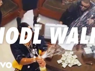 LAMBOMON - HODL WALK (PLUG WALK REMIX BITCOIN & CRYPTOCURRENCY PARODY REMIX)