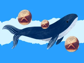 XRP Whales
