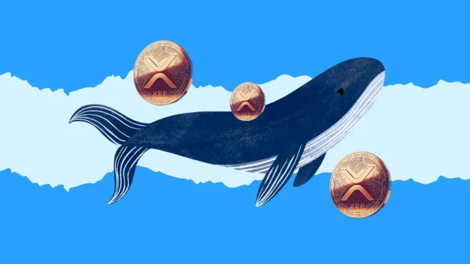 XRP Whales