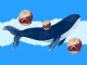 XRP Whales