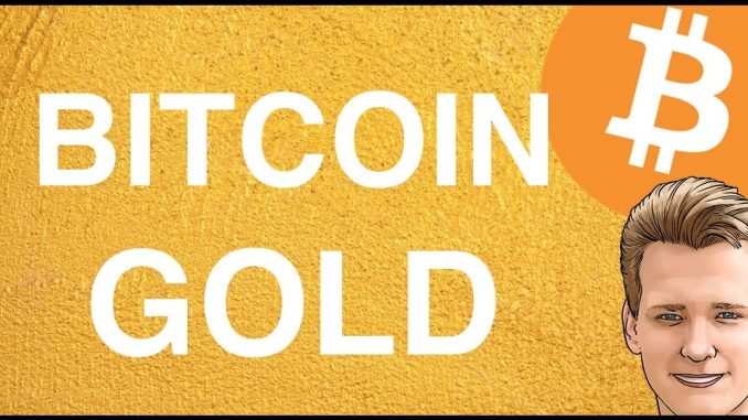 What's happening to Bitcoin Gold? - GitHub - Programmer explains