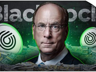 Blackrock Buys Crypto DIP (Million Dollar Altcoin Opportunity)