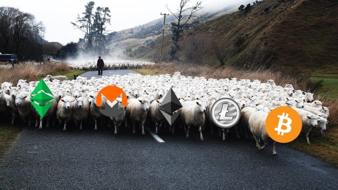 Do We Have HERD Mentality As Crypto Miner's?