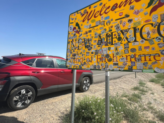 How Far Would You Go to Pump Your Meme Coin?