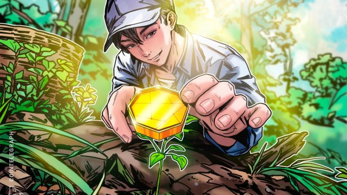 How to Spot the Next Big Crypto Gem in 2025