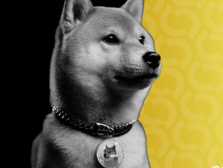 Bitcoin Treasury Firm Thumzup Considering Dogecoin, XRP Buys as Trump Jr. Invests