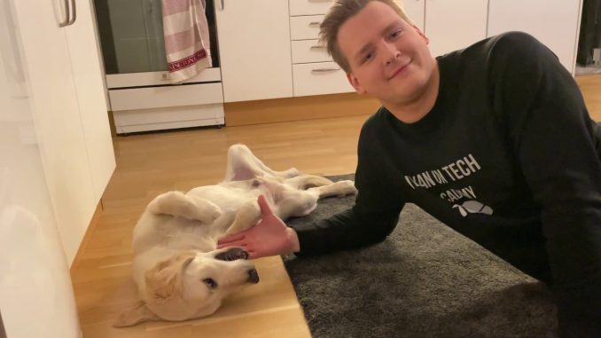 Golden Retriever Dima Loves Belly Rubbies - Ivan on Tech