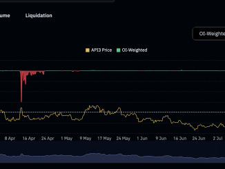 API3 shorts in focus