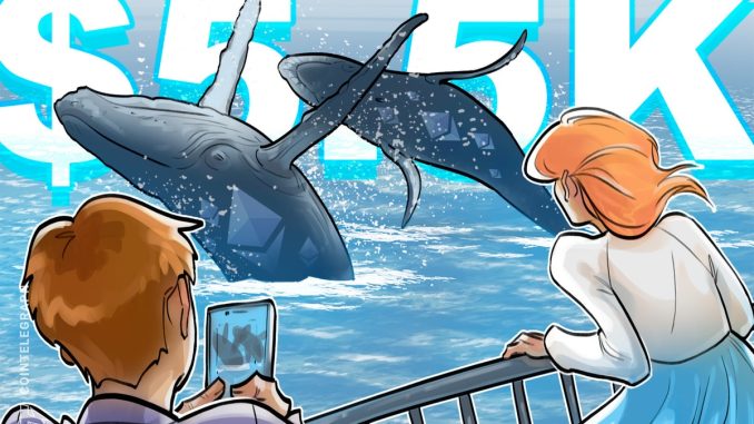 Bitcoin Whales Buy Ether After ETH Price Hits Record Highs