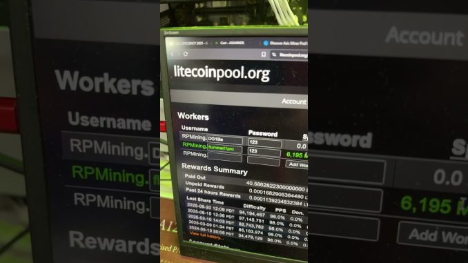 Fluminer L1 Pro DOGECOIN Miner is here!