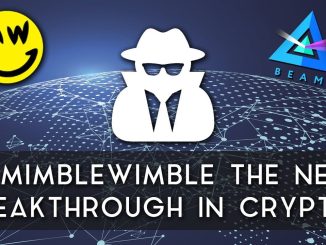 MimbleWimble | A revolutionary technology for cryptocurrencies
