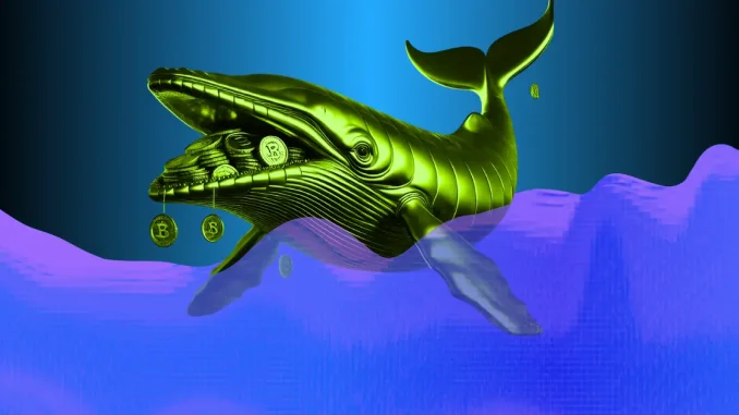 Coinpedia - Fintech & Cryptocurreny News Media