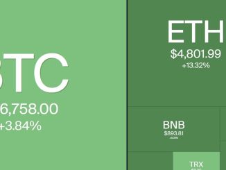 RATE CUT CRYPTO PUMP!