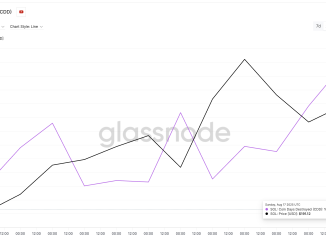 Solana price and Coin Days Destroyed: