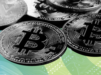 Who Needs 280 Bitcoin Domain Names? Massive BTC Bundle Goes Up for Auction