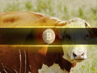 Bitcoin Bull Market Ending in 50 Days, Says Analyst