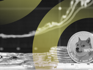 Dogecoin Rises 20% as Treasury Firm Amasses DOGE, ETF Nears Launch