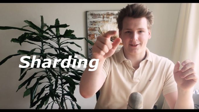 Programmer explains Ethereum Sharding | Scale and Performance fixes