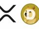 REX-Osprey launches XRP and DOGE ETFs trading