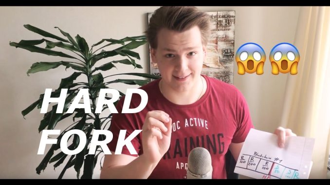 What happens to your coins in a hardfork? Programmer explains.