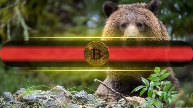 $1.15B in Options Signal Growing Risk