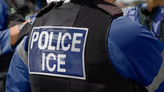 'Nothing Illegal': Creator of ICE Tracking App Plans Legal Action After Apple Removal