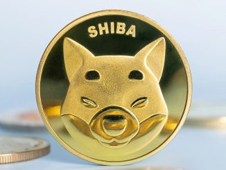 Shiba Inu forecast as bulls eye breakout after deep accumulation