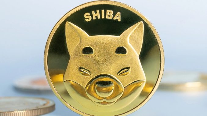 Shiba Inu forecast as bulls eye breakout after deep accumulation