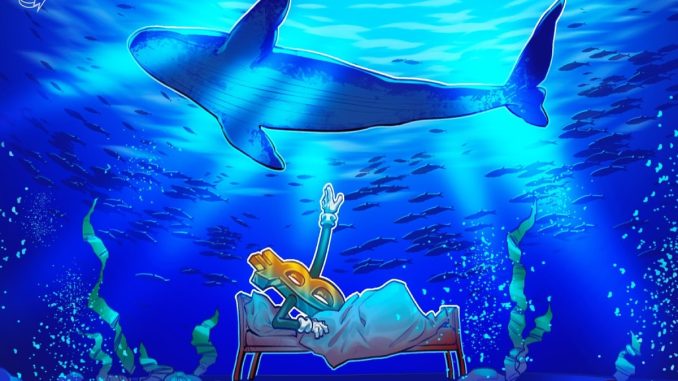 Whales Selling Behavior Could Mean It’s Late in the Cycle