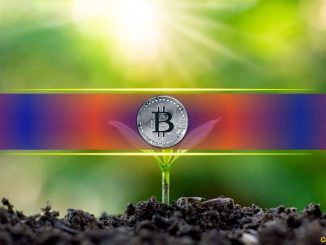 Analyzing 15 Years of Bitcoin History