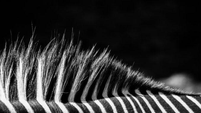 Juventus owner rejects acquisition offer from Tether