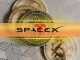 SpaceX, BlackRock Shift $296M in Bitcoin: Sell-Off Signal Ahead?