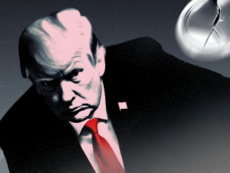 Who Really Helped Bitcoin and Crypto Markets?