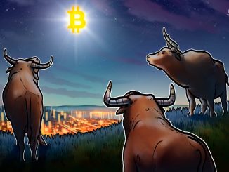 Bitcoin Top Traders Hold Tight Despite 14% Price Recovery
