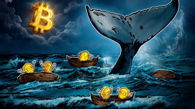 Bitcoin Whales, Sharks Realized $337M in Daily Losses in Q1 2026