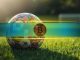 Bitcoin Could Bottom During the 2026 World Cup