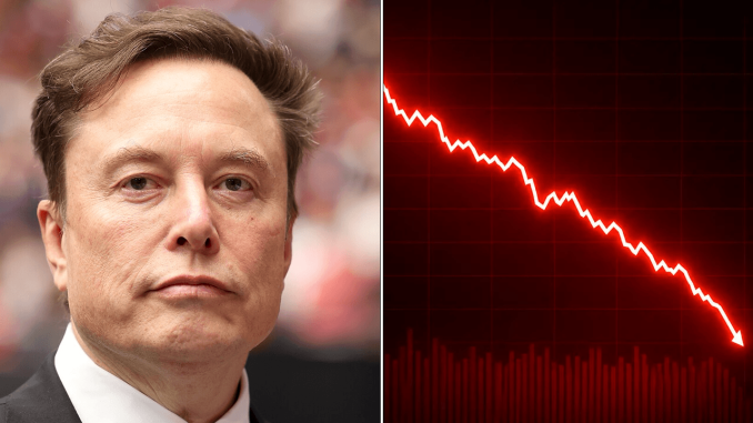 SpaceX Plunges to New Low as Musk’s Fortune Bleeds $35 Billion in One Day